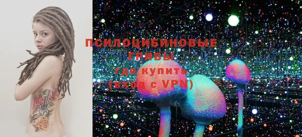spice Алзамай