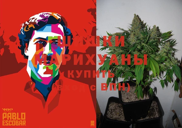 spice Алзамай