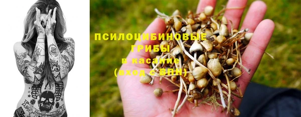 spice Алзамай