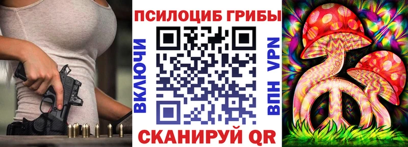 Купить где Белая Холуница Псилоцибиновые грибы MAGIC MUSHROOMS